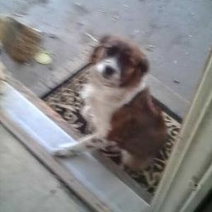 Meet your Posher, Tiffani